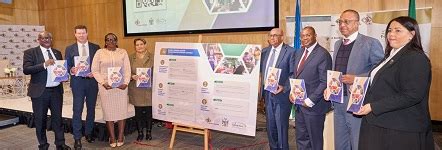 financial sector strategy namibia