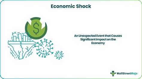 Financial Shock Examples