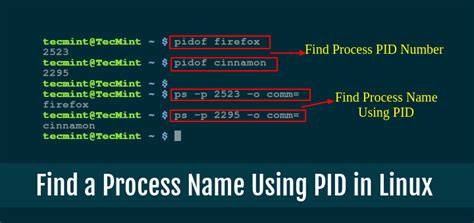 Find A Process By Pid