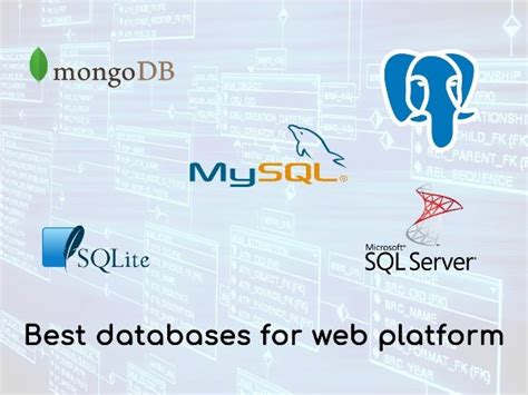 find database programs for web development