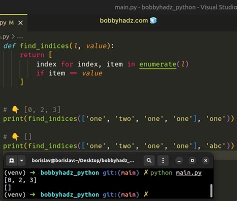 find duplicate item in list python
