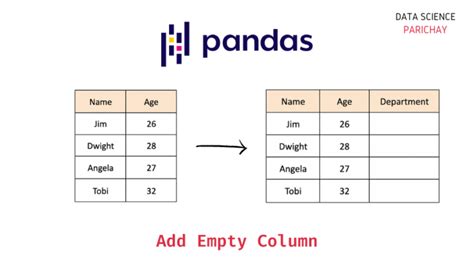 find empty cells in pandas dataframe
