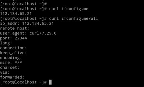 find ip address using curl