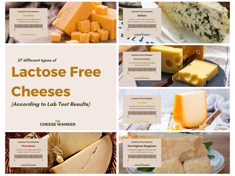 find lactose free cheese