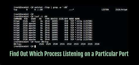 Find Process From Port Linux