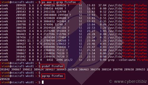 Find Process Using Pid In Unix