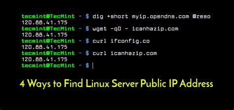 find public ip linux command