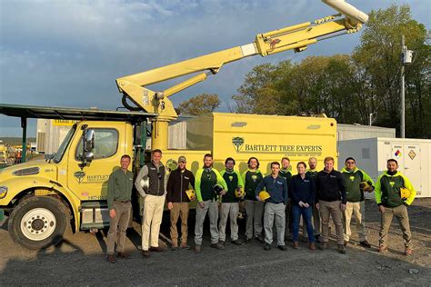 find the best tree service in leesburg va