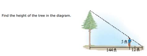find the height of a tree math problem