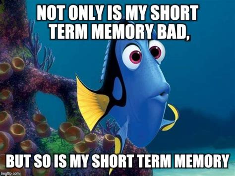 Fish Dory