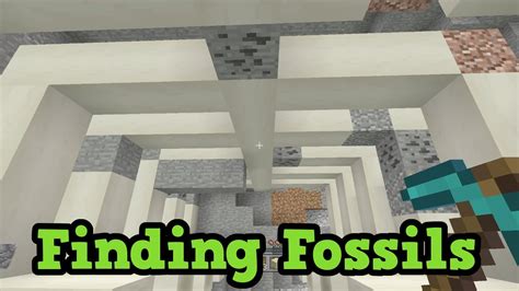 Finding Fossils In Minecraft