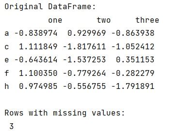 finding missing values in dataframe python