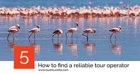 finding reliable tour operators