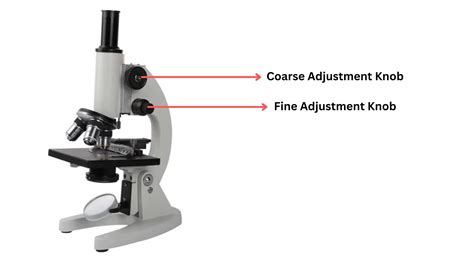 Fine Adjustment Knob Compound Microscope