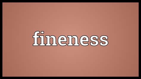 fineness meaning