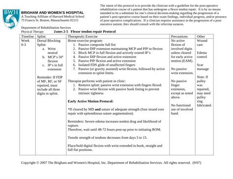 finger flexor tendon repair protocol