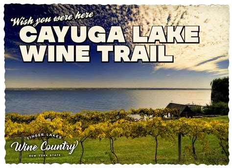finger lakes daily wine