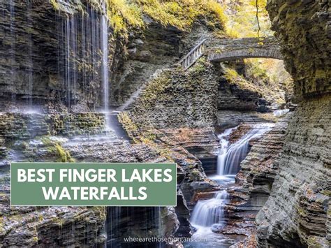 finger lakes guided tours
