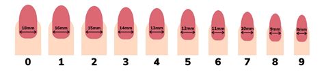  79 Stylish And Chic Fingernail Average Size Trend This Years