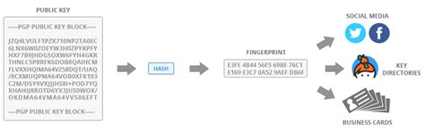 Fingerprint Pgp Key