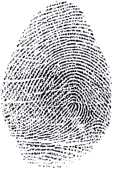 fingerprinting services yuma az