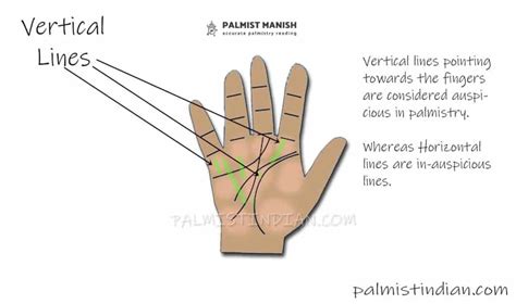 Fingertips Lines Vertical