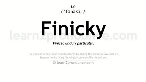 finicky meaning