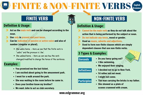 finite and non finite verbs examples with answers class 9