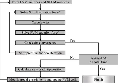 finite element method and finite volume method