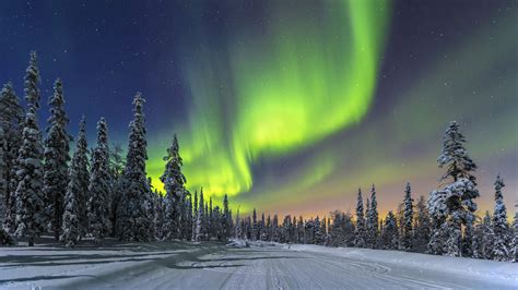 finlandia aurora boreale tour