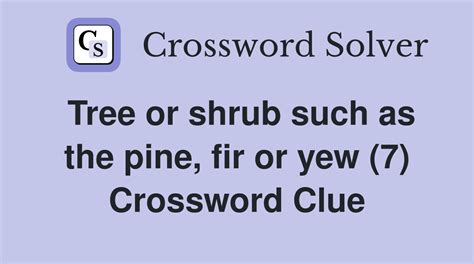 Fir Tree Crossword Clue Nyt