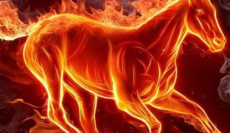 Fire Horse Images Hd Wallpapers Wallpaper HD (61+ )