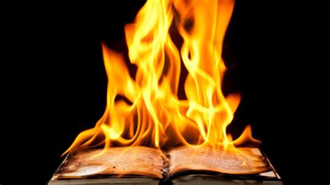 fire and flame books