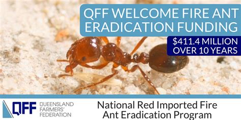 fire ant eradication program qld