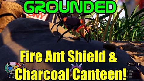 fire ant shield grounded