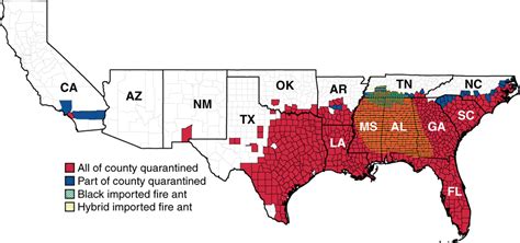 fire ants in us