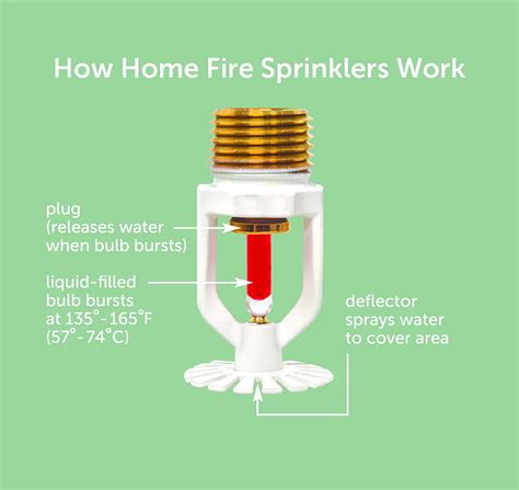 Fire Sprinkler System Nz