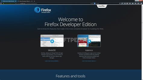 Firefox Developer Print View