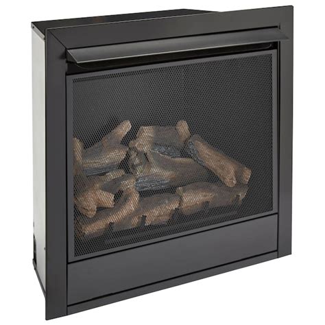 Fireplace Insert At Lowes
