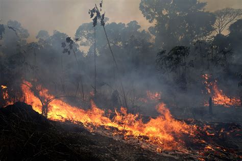 fires in the amazon