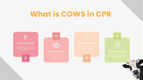 First Aid Cows Acronym