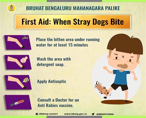 First Aid For Weak Dog