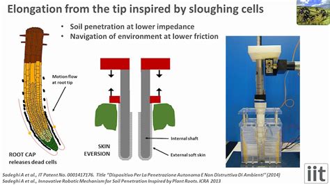 First Artificial Root Prototype