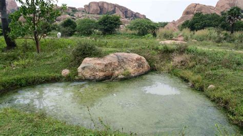 first biodiversity heritage site in india