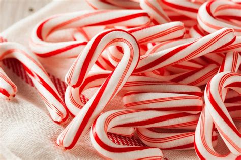 First Candy Cane In Us