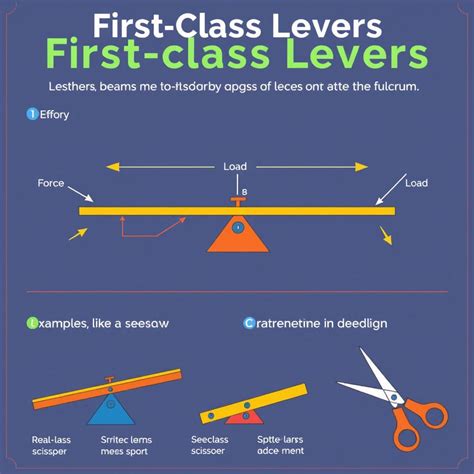 First Class Lever Function