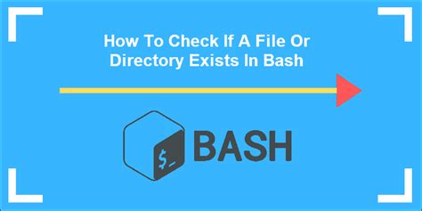 First File In Directory Bash