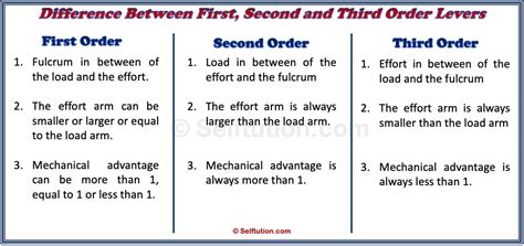 First Second And Third Order Levers