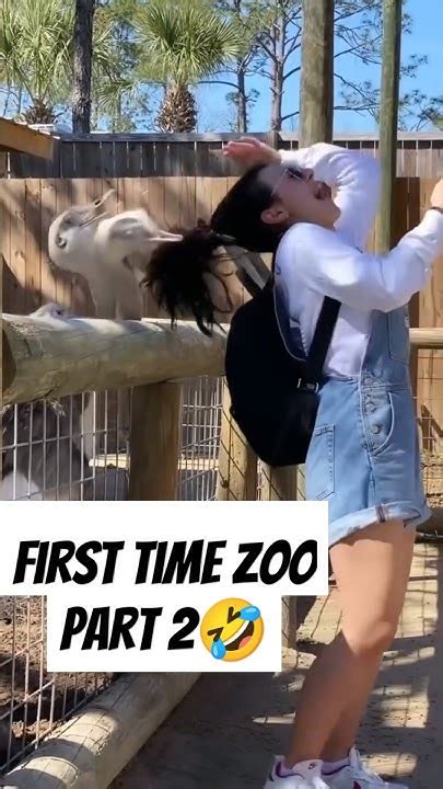Zoo Encounters: First Time Secrets Revealed