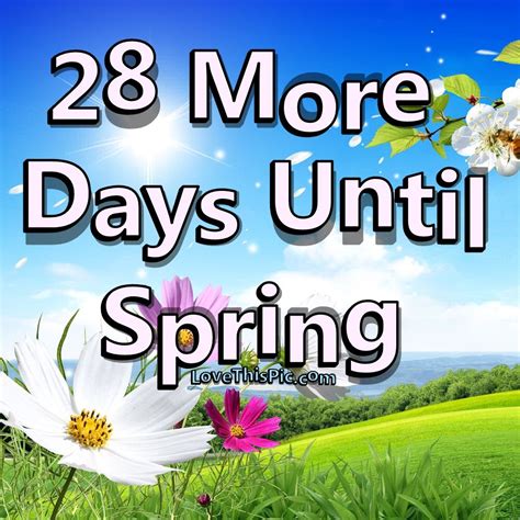 How Many Days Till Spring Training 2025 Lourdes Fortin